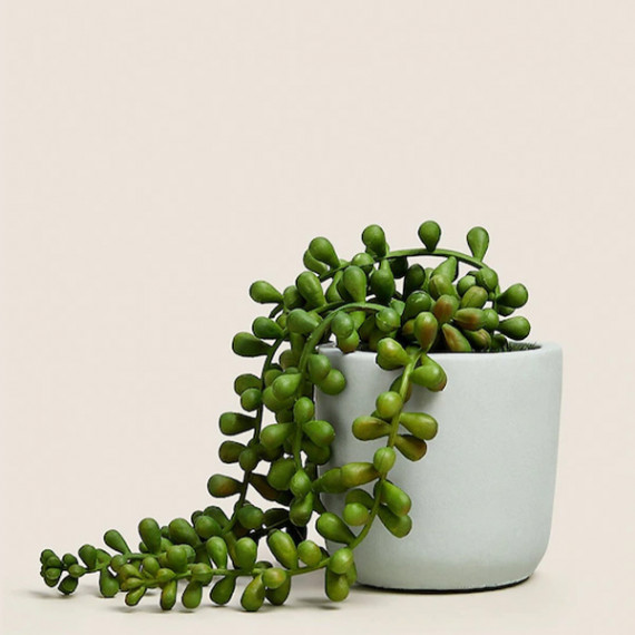 https://daiseyfashions.com/products/green-artificial-plant-with-pot